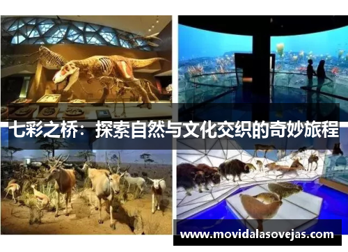 七彩之桥：探索自然与文化交织的奇妙旅程