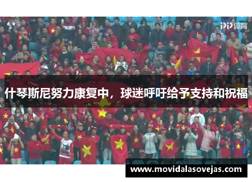 什琴斯尼努力康复中，球迷呼吁给予支持和祝福