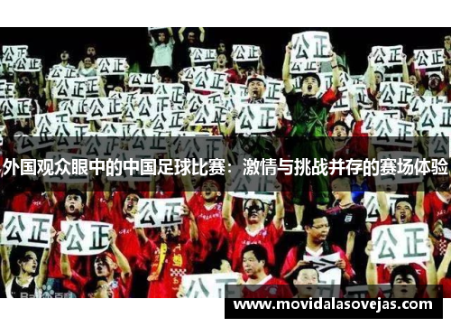 外国观众眼中的中国足球比赛：激情与挑战并存的赛场体验