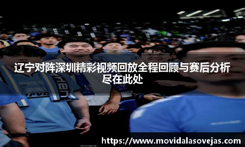 zoty中欧辽宁对阵深圳精彩视频回放全程回顾与赛后分析尽在此处